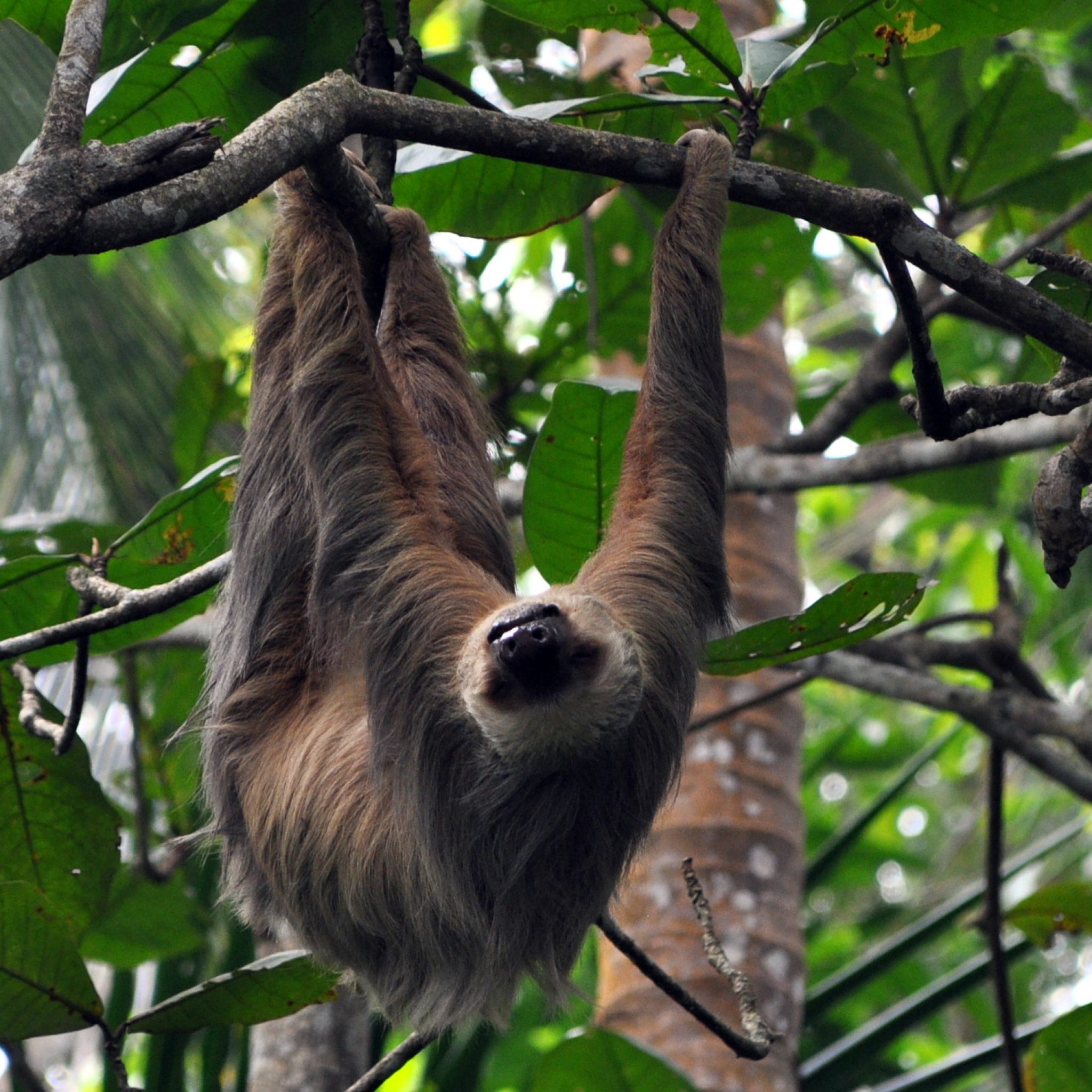 Costa Rica is blessed with stunning natural beauty and an incredible array of wildlife.