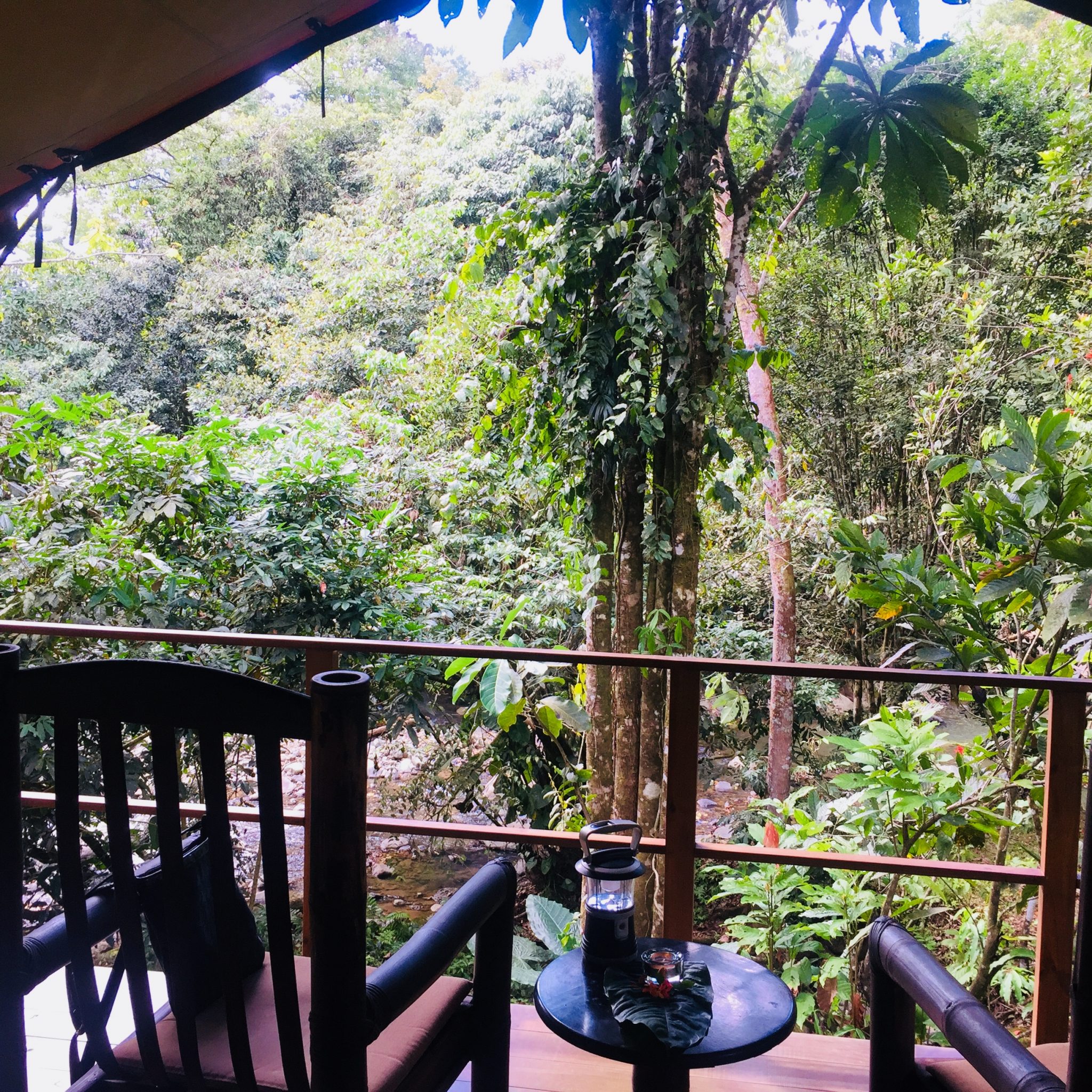 Morning at Rio Tico - a genuine connection to nature usually comes from smaller lodgings.