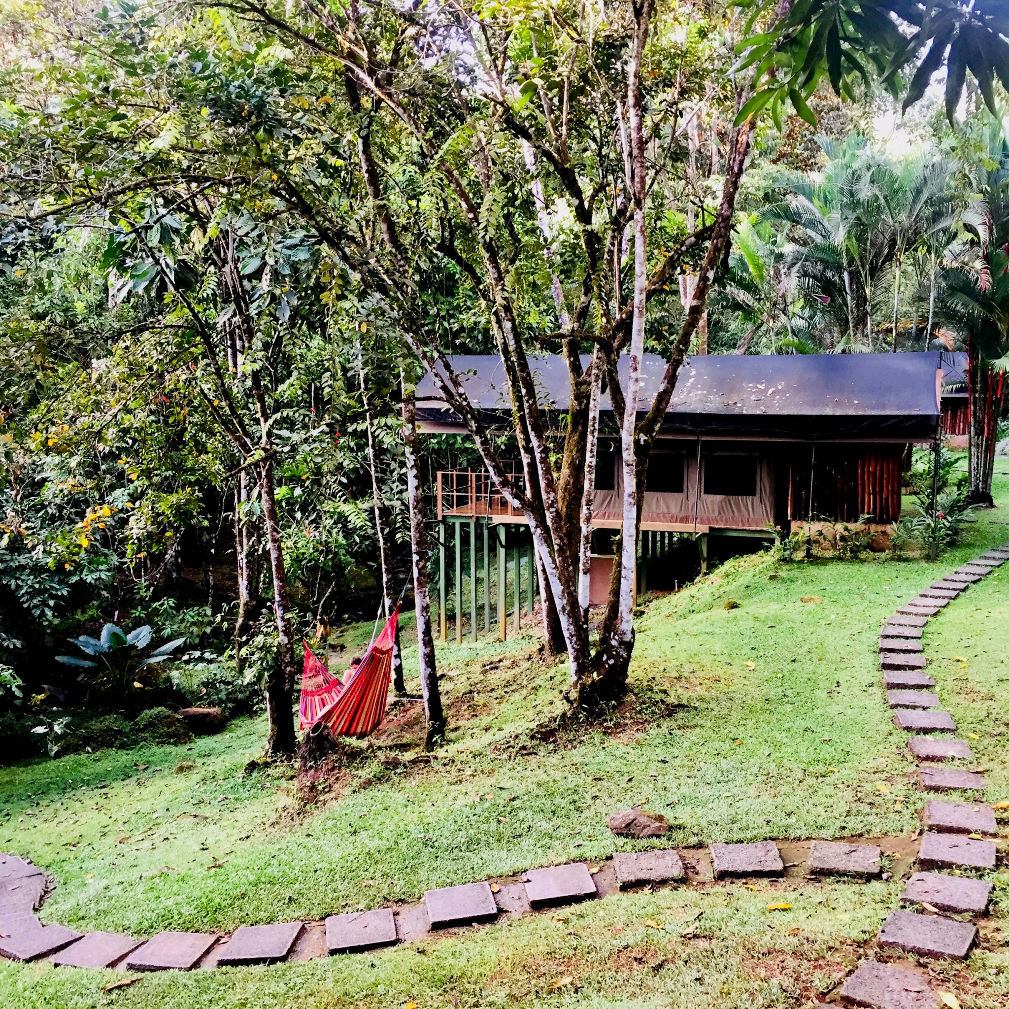 Rio Tico Lodge perfectly blends in with the forest.