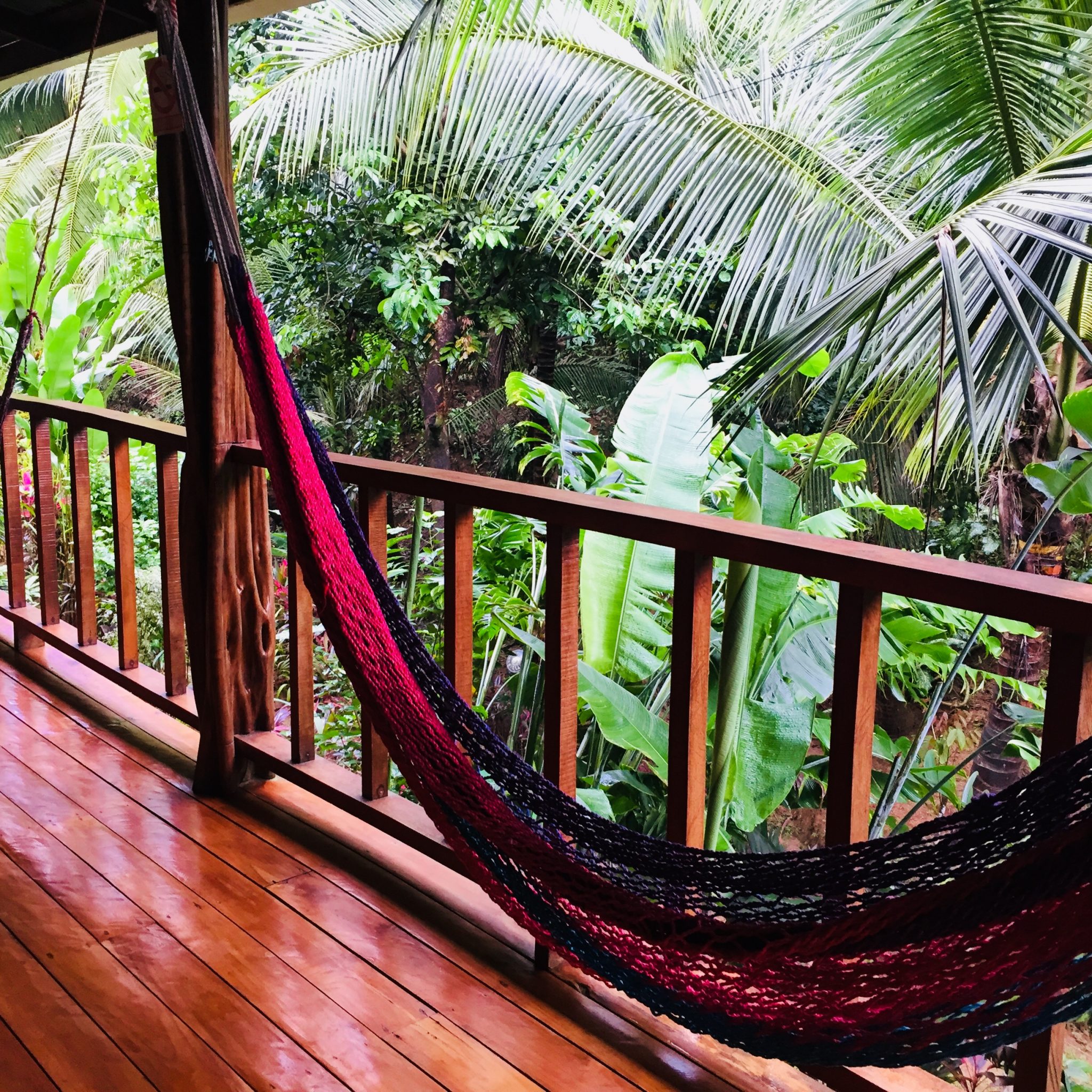 An ecolodge will help you stay truly connected to the rainforest.