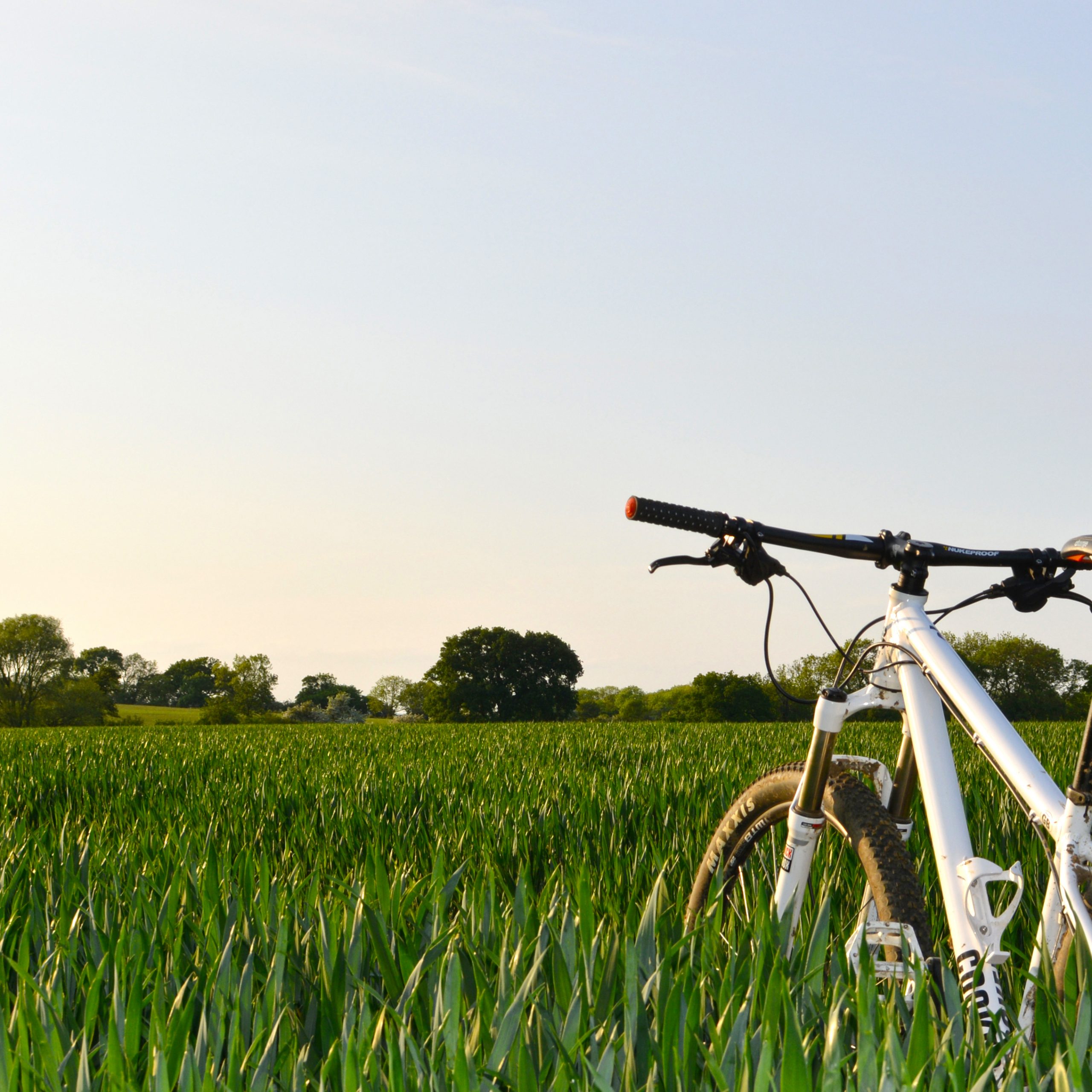 Unique Travel Destinations For Bicycle Lovers