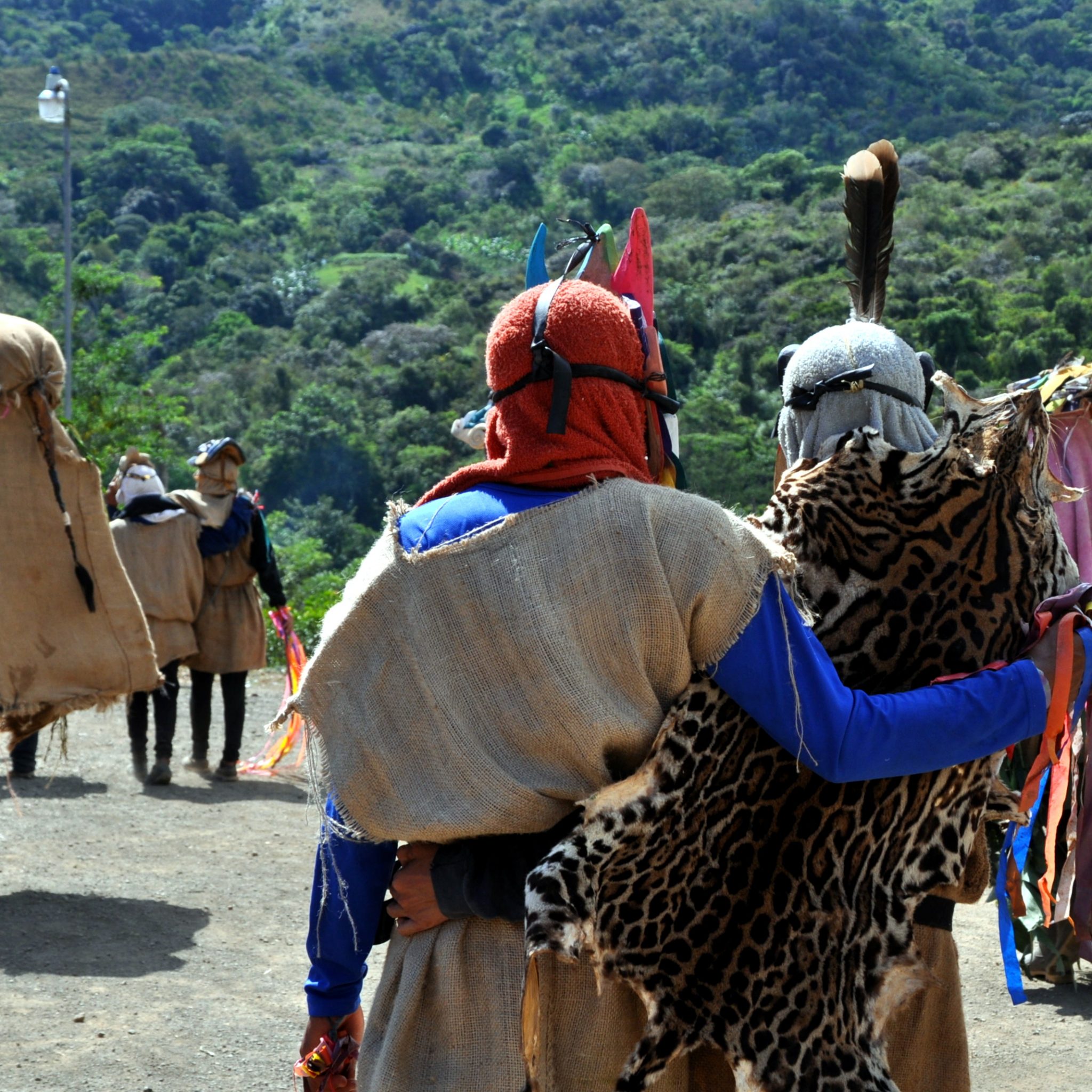 Diablitos in their elaborate costumes chasing the toro.