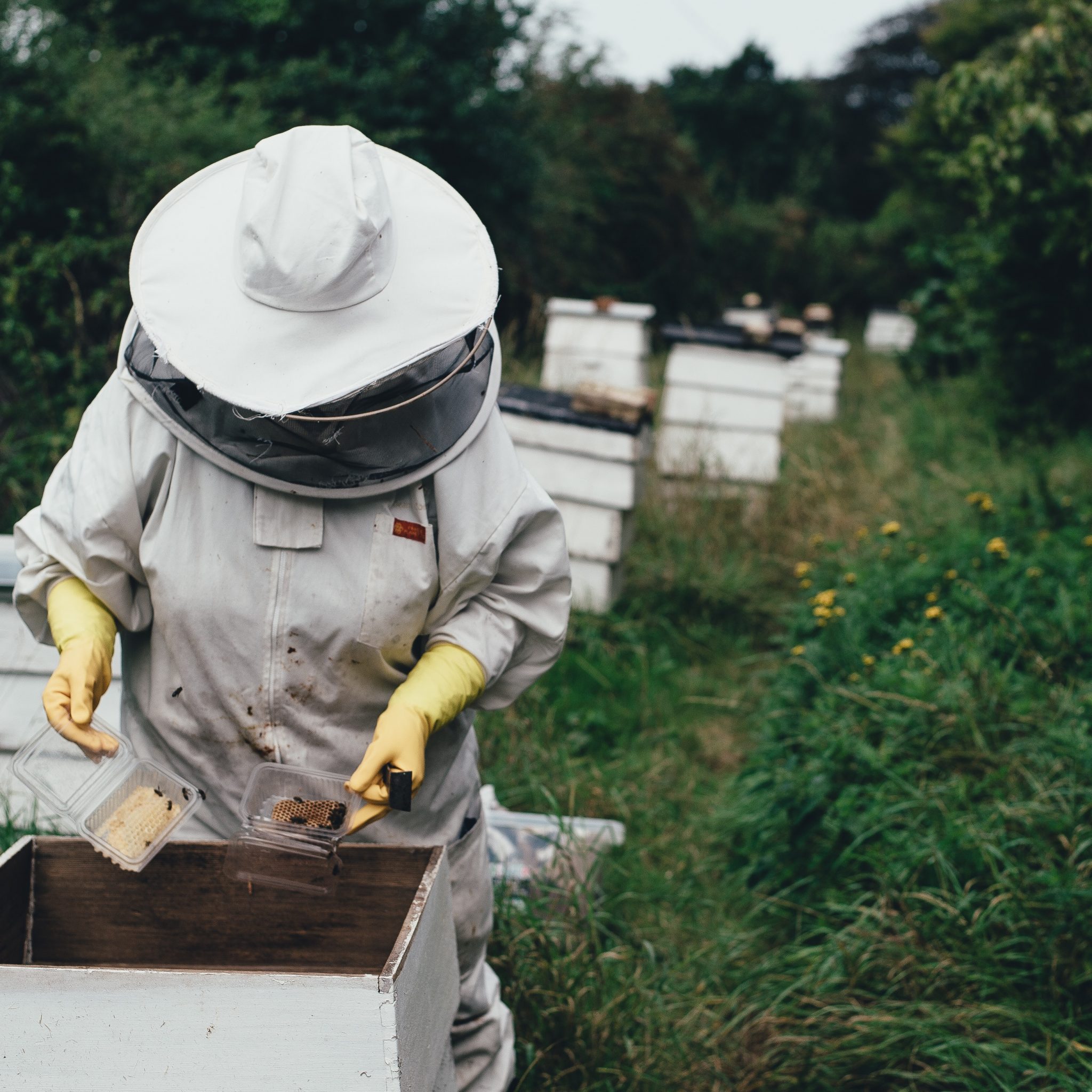 The honey can be found in everything from beers to body balms and other hotel amenities.