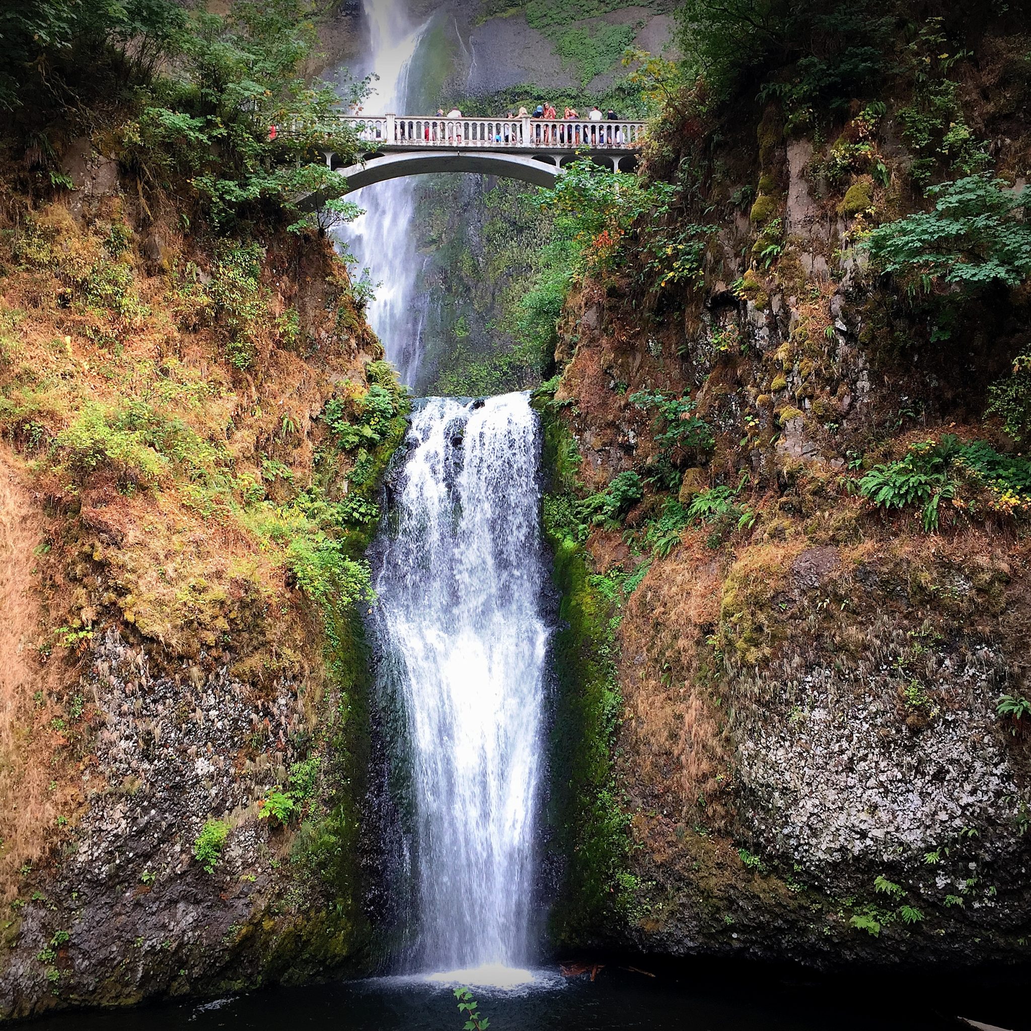 Multnomah Falls is by far the locals and visitors’ favorite stop along Columbia River Gorge.