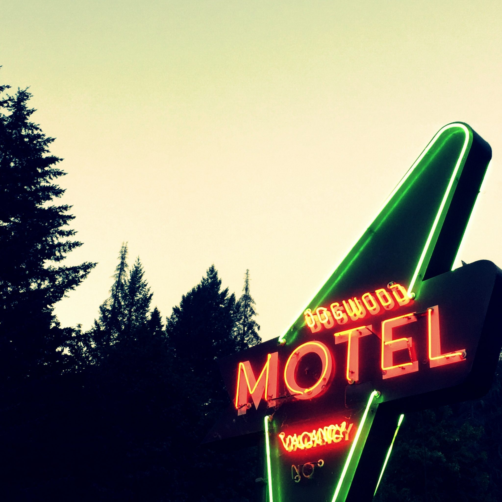 Cozy wood cabins with a touch of retro at the Dogwood Motel.