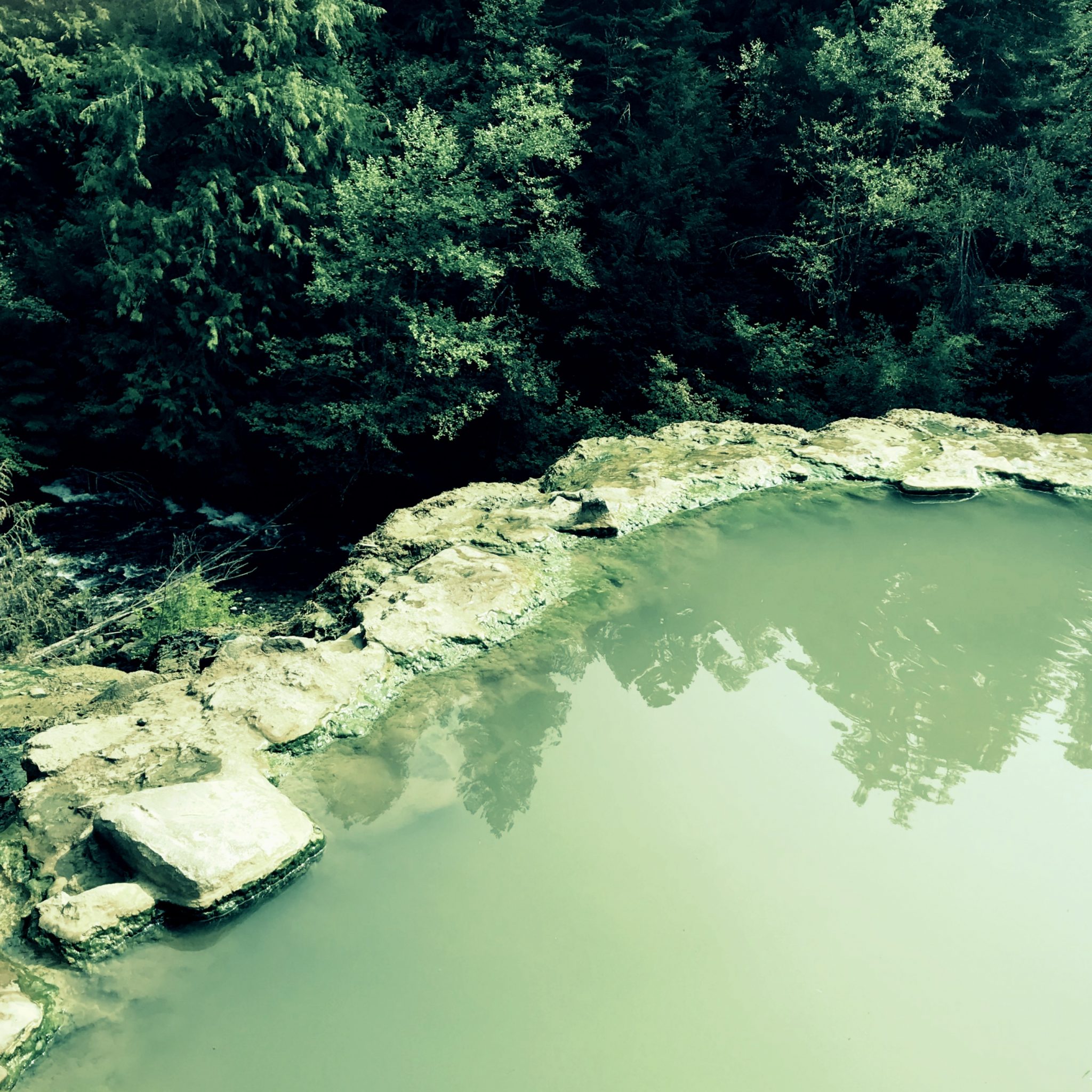 Umpqua Forest is home to those insta-famous hot springs. The debate on the influence of Instagram on once-hidden gems is real.