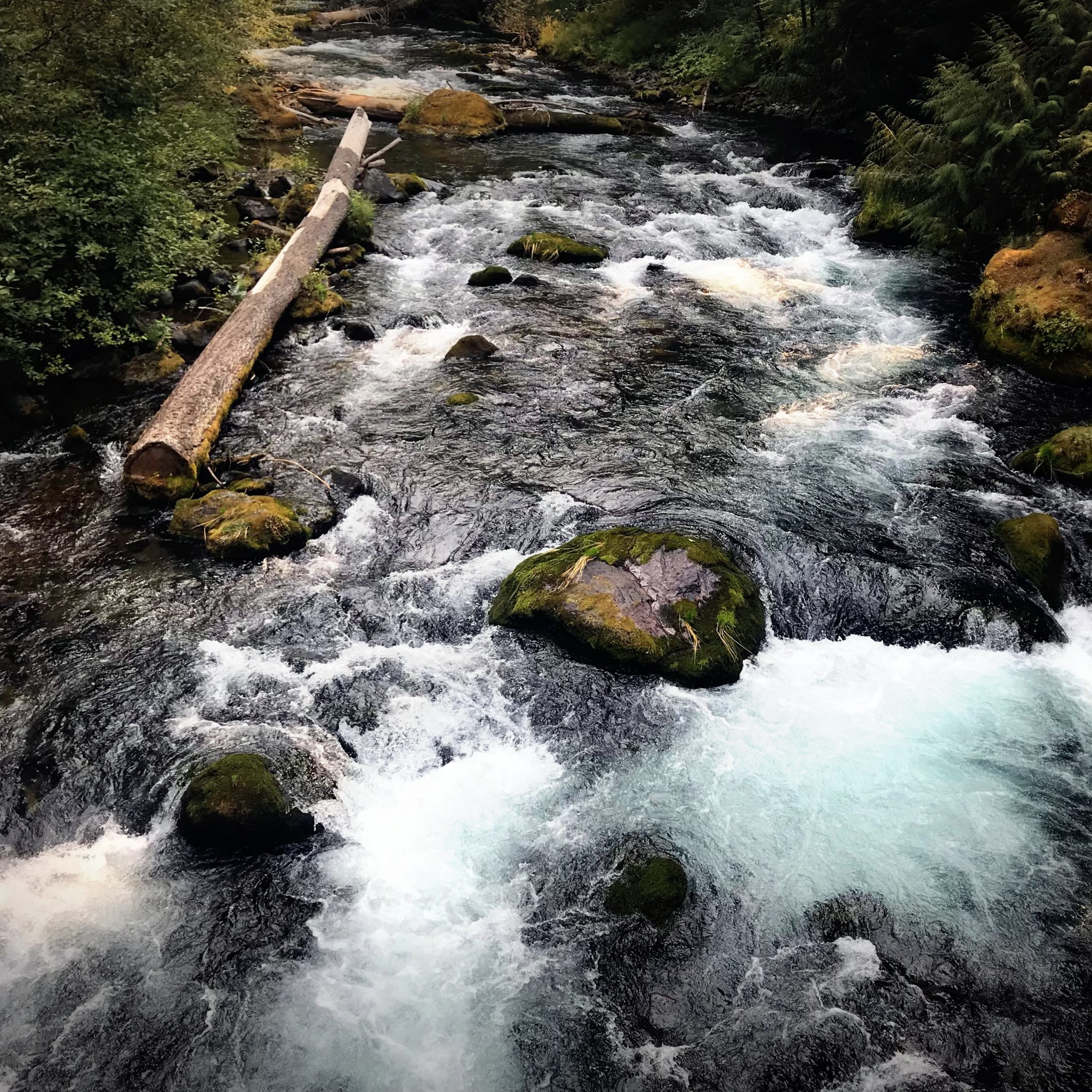 The name ‘Umpqua’ is believed to mean Thundering Waters.