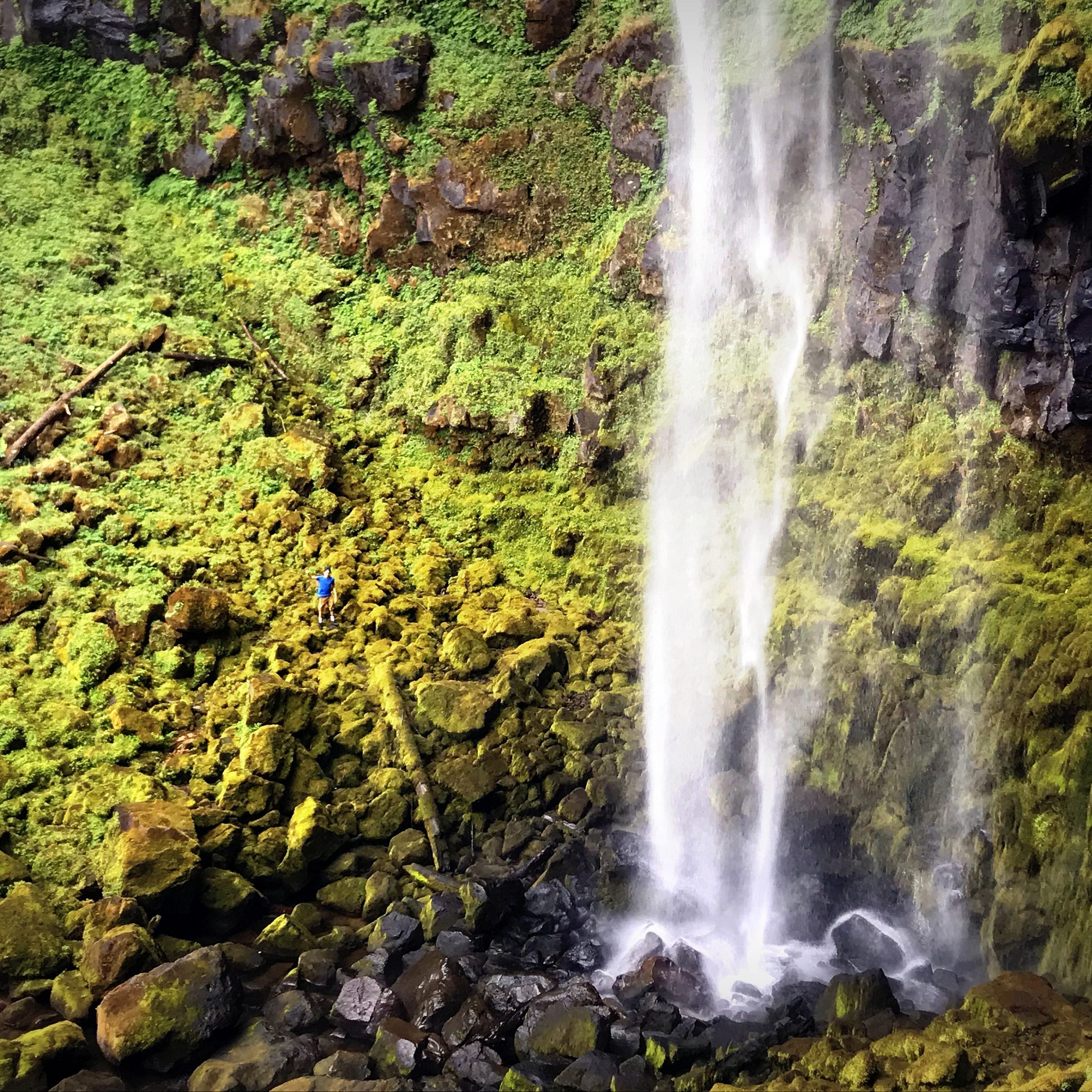 The Forest has many large and beautiful waterfalls including the 272-foot Watson Falls.