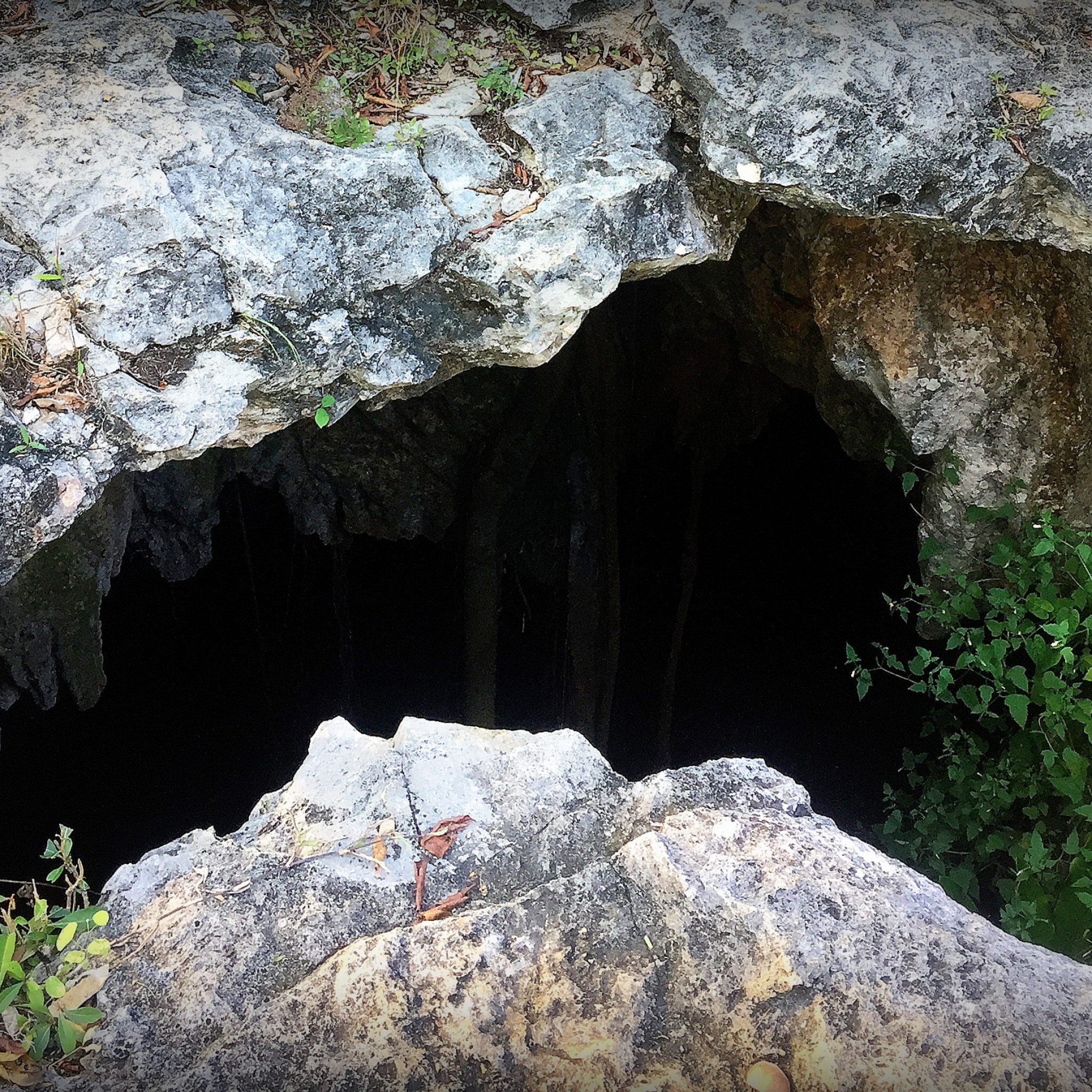 Cenotes are sacred in Mayan culture — it’s where Mayans would make offerings to the gods.