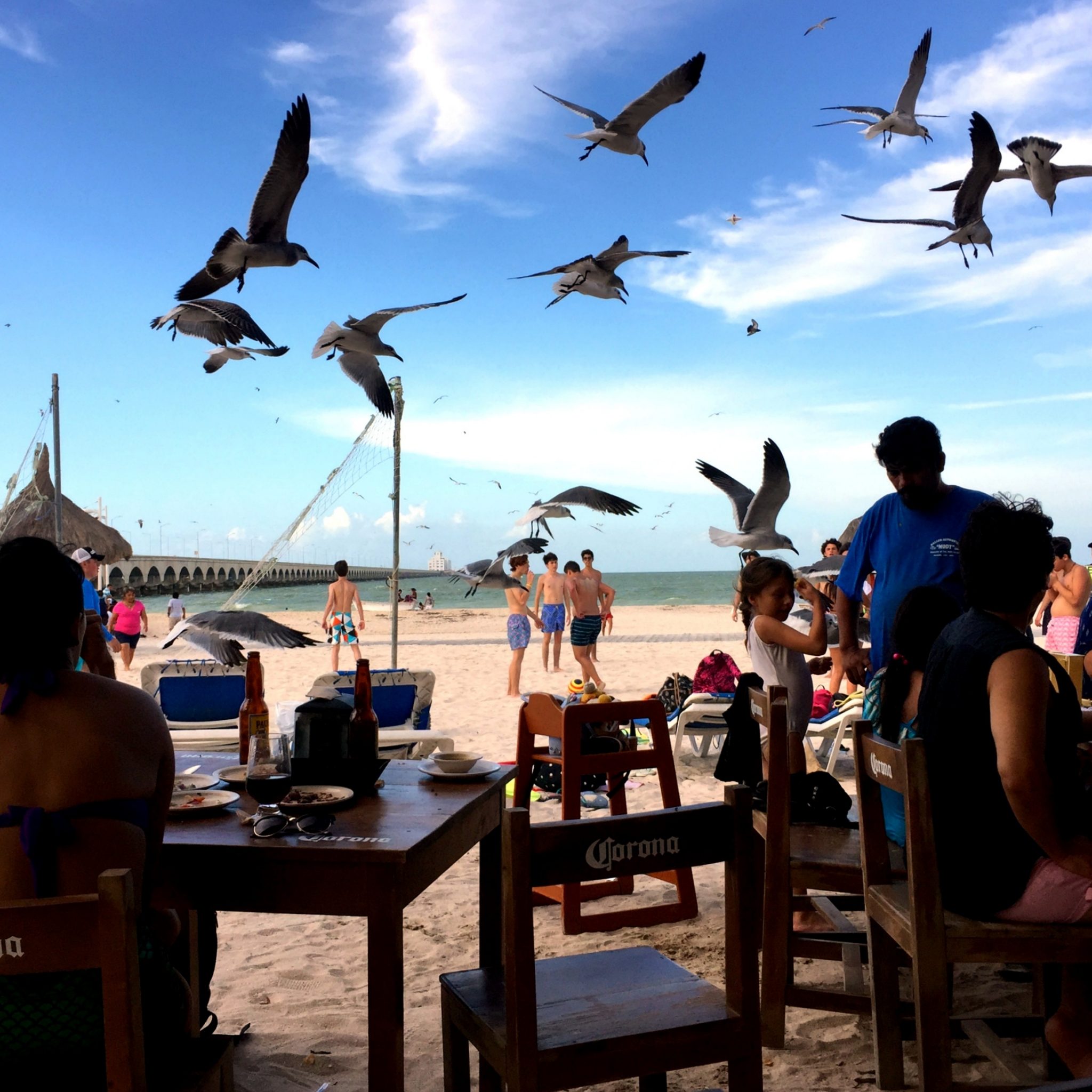 Grab a cerveza and a fresh ceviche from one of many bars by Progreso pier and soak up the vibes.