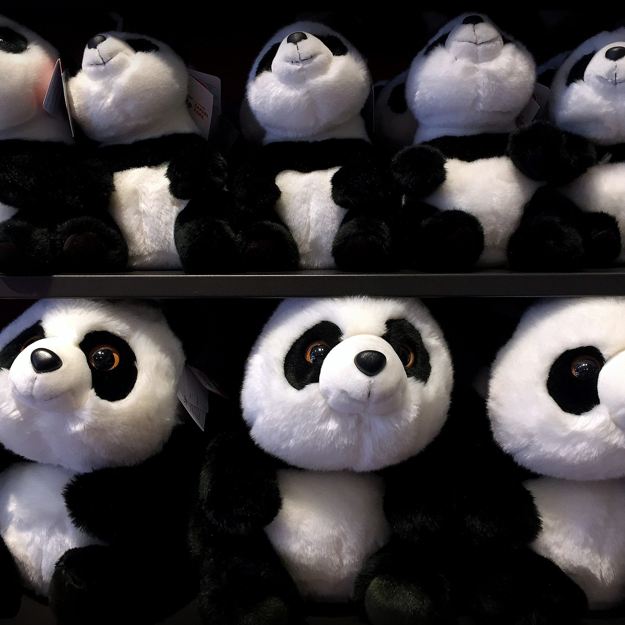 Buy one, save one. San Diego Zoo gift shop actively supports their panda conservation work.