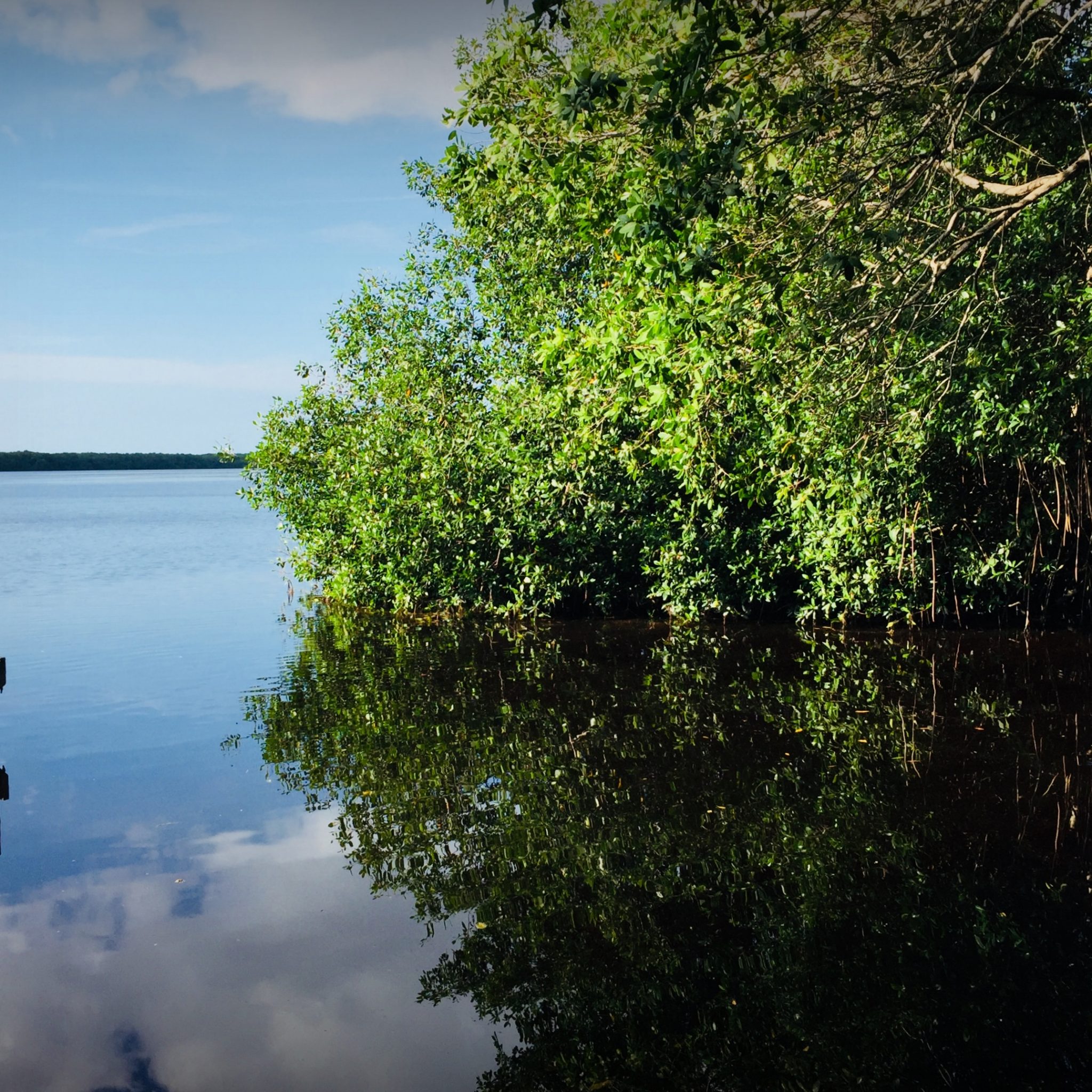 Río Lagartos and San Felipe offer a peek into the real life outside of the popular tourist destinations.