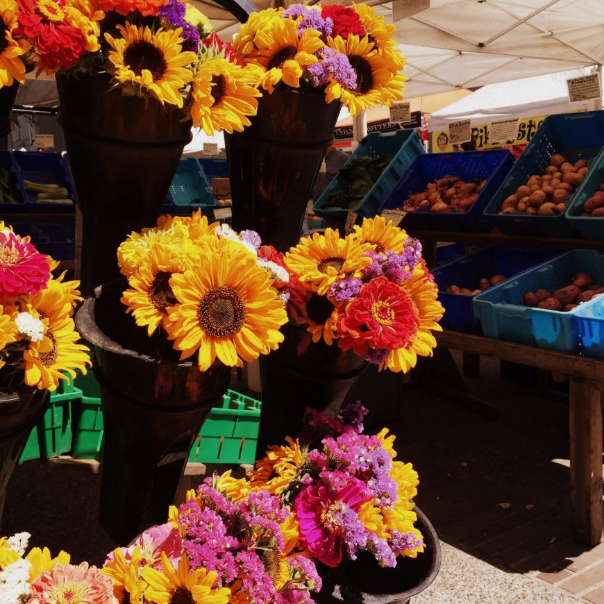 The excellent weekly Portland Farmers Market is bound to keep you occupied all morning.